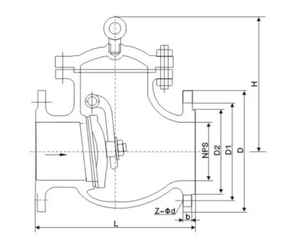 Stainless steel check valves